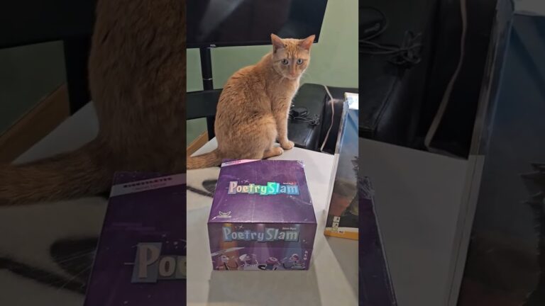 Did i get screwed?? for a mystery box of games! #boardgames