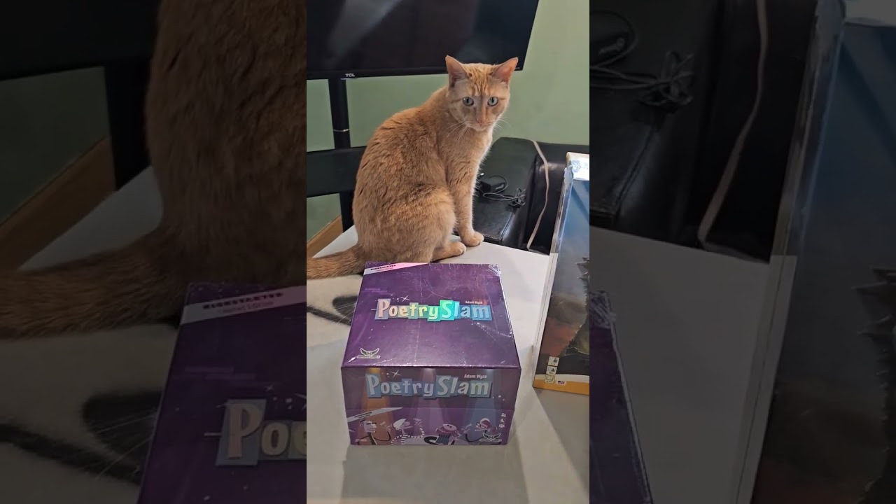 Did i get screwed?? for a mystery box of games! #boardgames